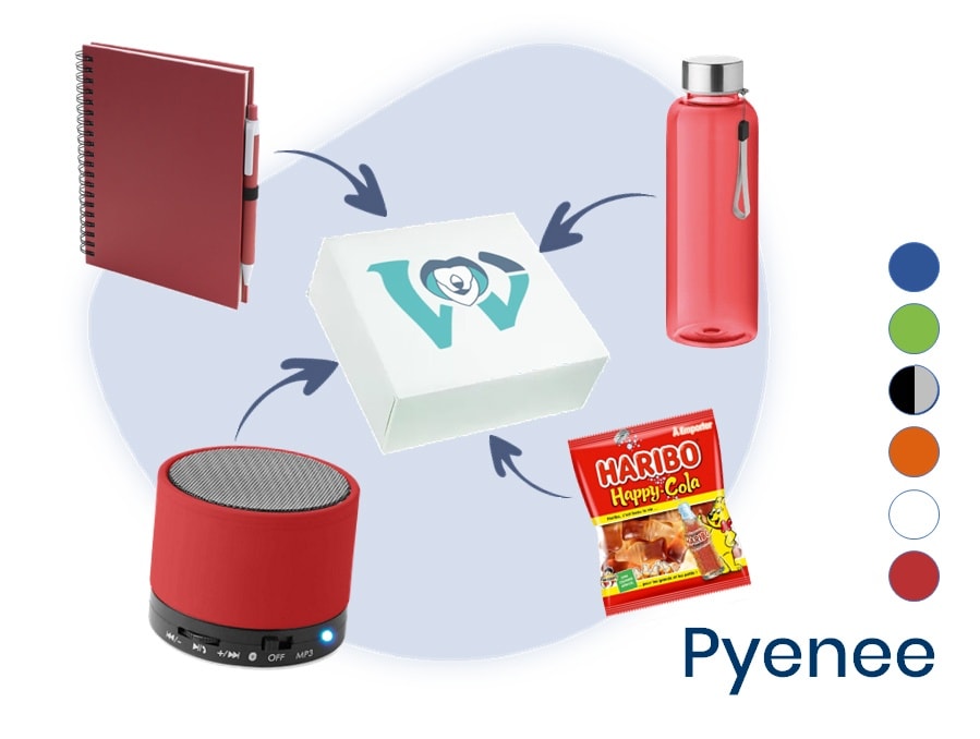 BOX LA PYENEE